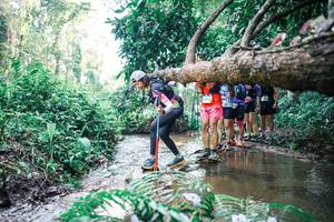 BIB: 
                            <button type="button" onclick="openModal(25467035)" class="btn btn-primary btn-sm float-right btn-popup" data-toggle="modal" data-target=".modal-high-quality">
                        <i class="fas fa-shopping-cart"></i> Add to Cart
                    </button>
                                            <button type="button" onclick="isThisMe(25467035, true)" class="btn btn-success btn-sm float-right btn-popup btn-isme hidden" data-toggle="tooltip" data-placement="bottom" title="นี่คือรูปของคุณใช่ไหม คลิกที่นี่เพื่อเอาเข้าอัลบั้ม">
                        <i class="fas fa-plus"></i> Add to album
                    </button>
                    <button type="button" onclick="isThisMe(25467035, false)" class="btn btn-warning btn-sm float-right btn-popup btn-isnotme hidden">
                        <i class="fas fa-ban"></i> Remove from album
                    </button>